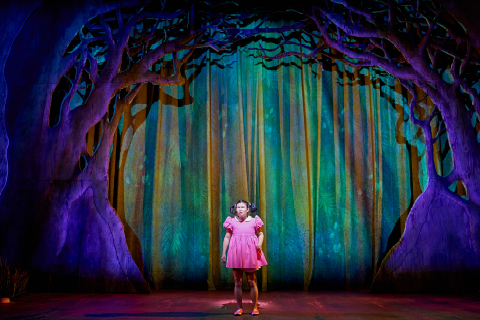 Mei (Mei Mac) wears a pink dress and stands on a stage. Behind Mei, the scenery resembles a cave and trees in blues and greens.